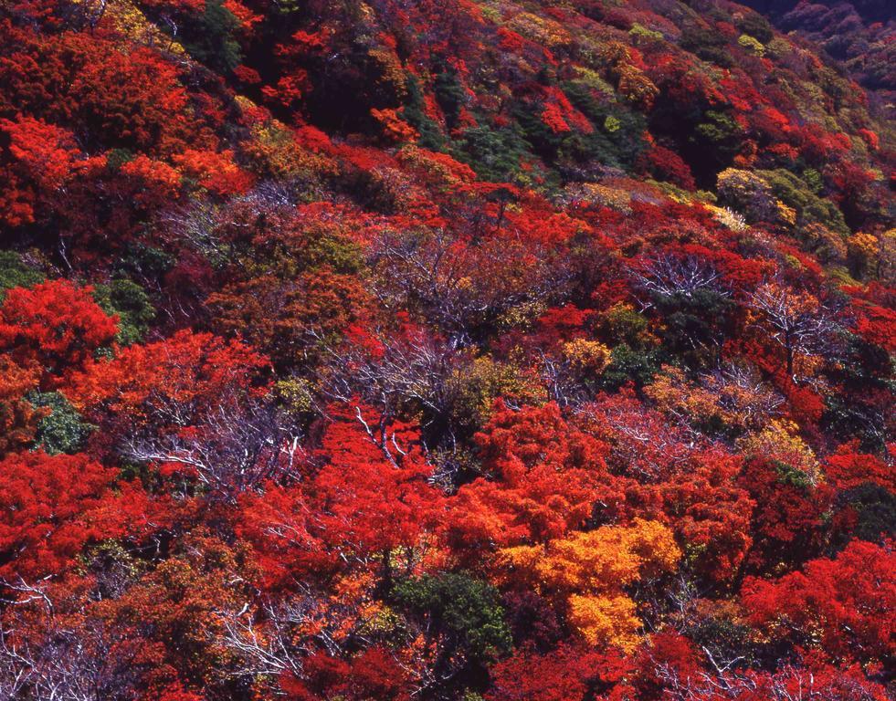 Yumoto Hotel Unzen Eksteriør billede